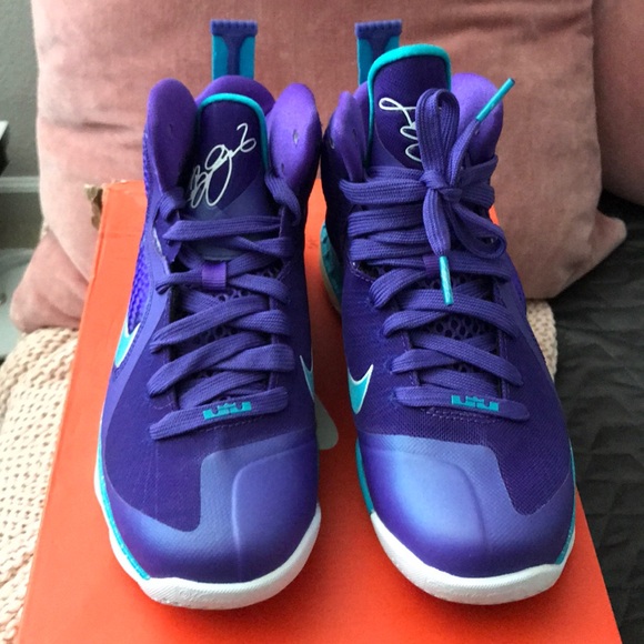Brand New Lebron 9 Hornets - size 4Y - Picture 2 of 3